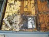 beehive nº. 2 